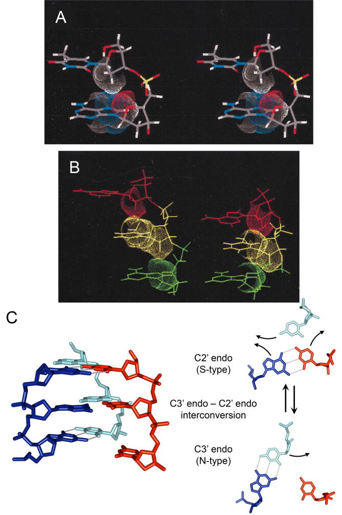 Fig. 4