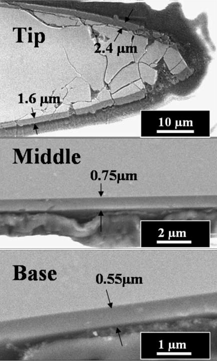 Fig. 12