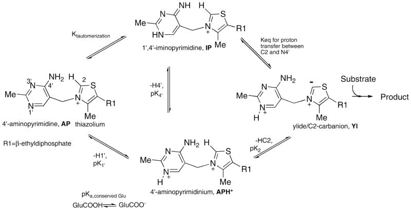 Scheme 1