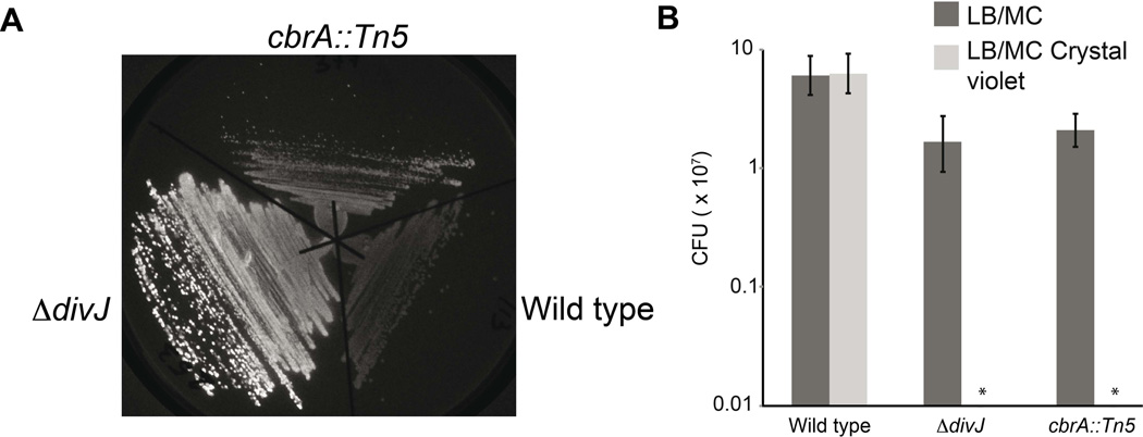 Figure 7