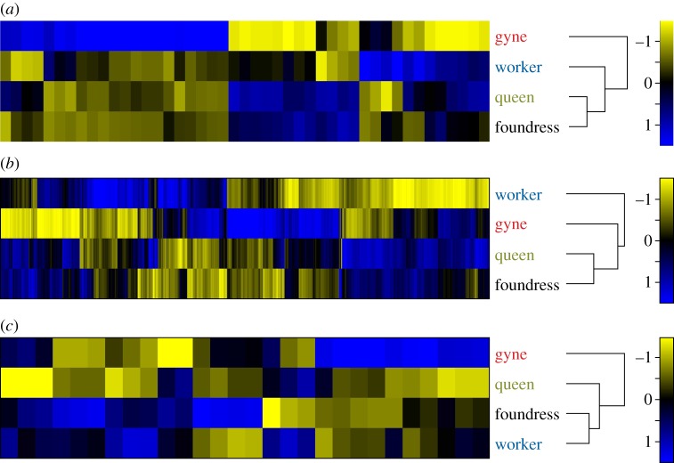 Figure 3.