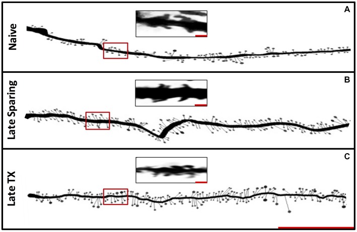 Figure 6