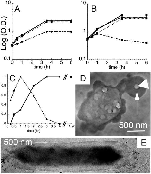 FIG. 6.