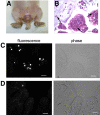 FIG 8