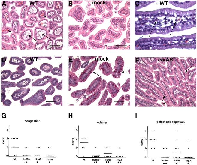 FIG 3 