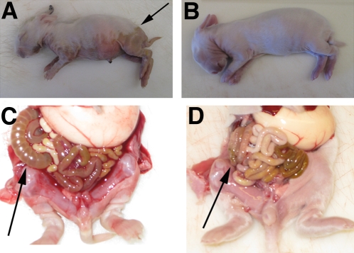 FIG 1 