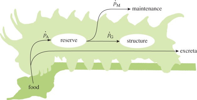 Figure 2.