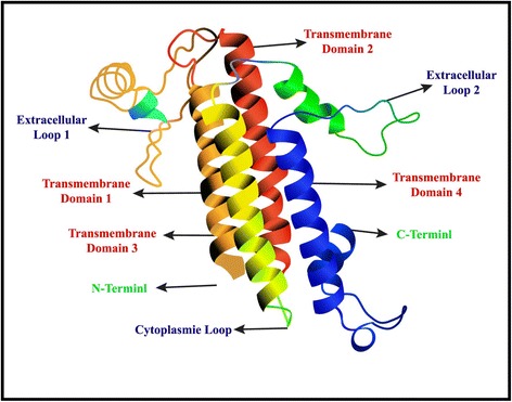 Fig. 1