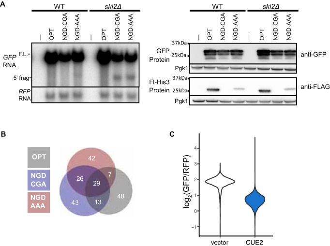 Figure 1—figure supplement 1.