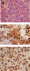 Fig. 2: