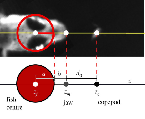 Figure 3. 