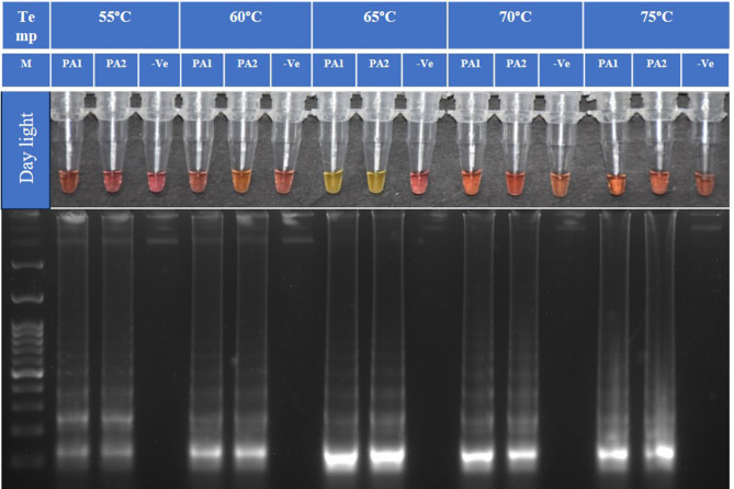 Fig. 2