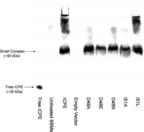 FIG. 5.