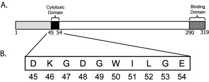 FIG. 1.