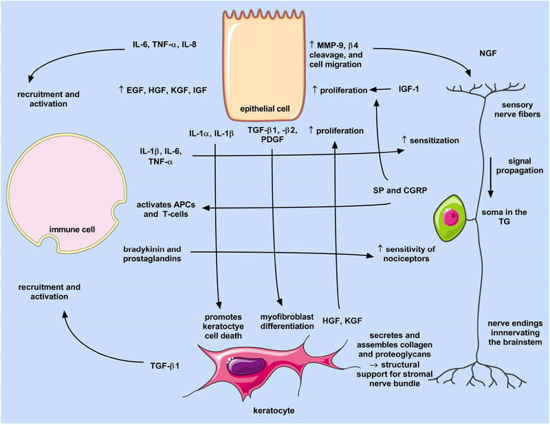 Fig. 3.