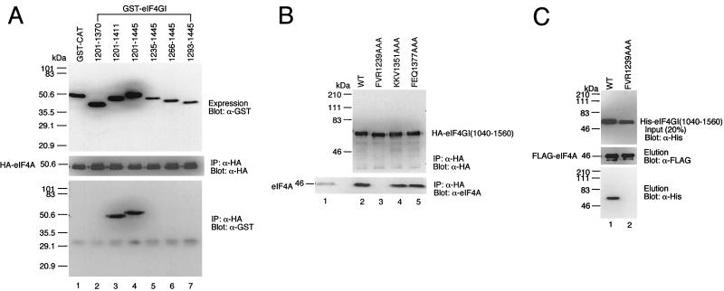 FIG. 5