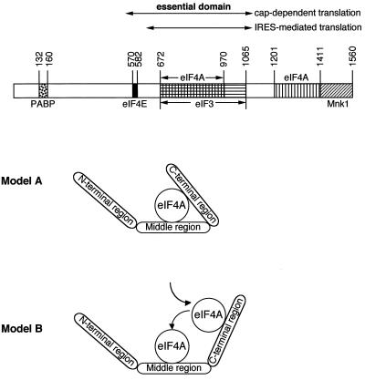 FIG. 8