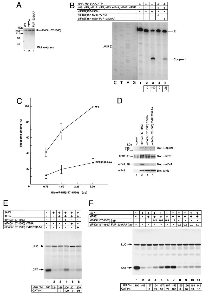 FIG. 6