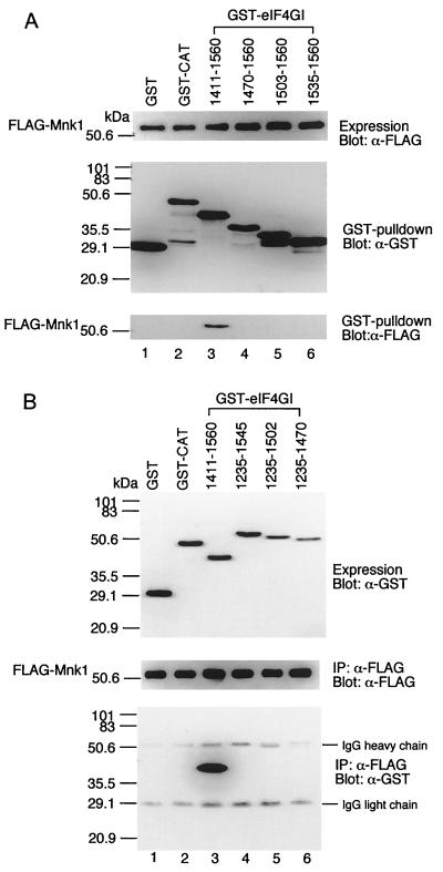 FIG. 7