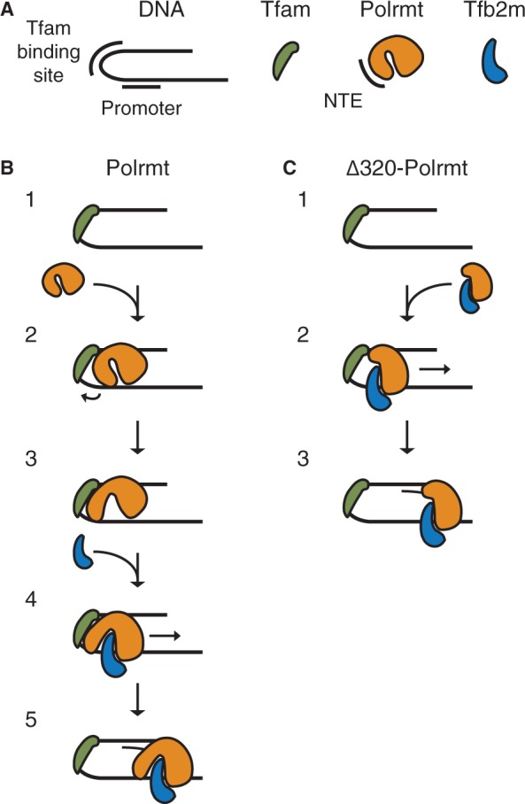 Figure 5.