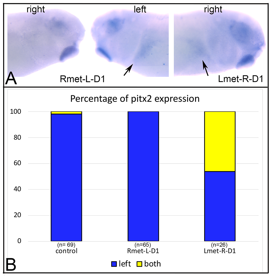 Figure 5: