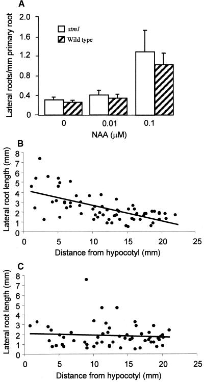 Figure 7.