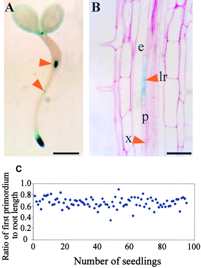 Figure 6.