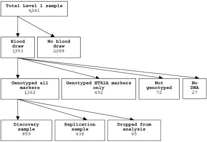 Figure  1