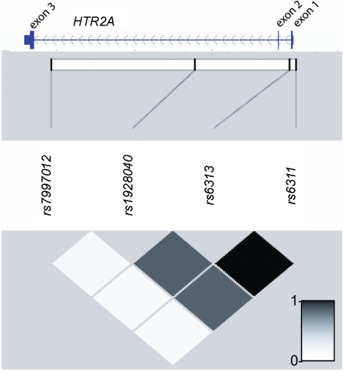 Figure  4