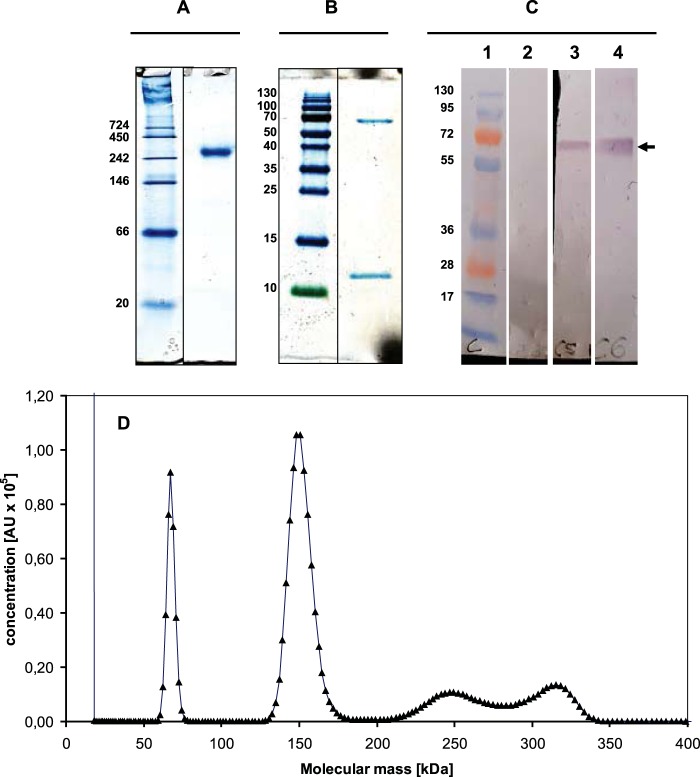 FIG 2