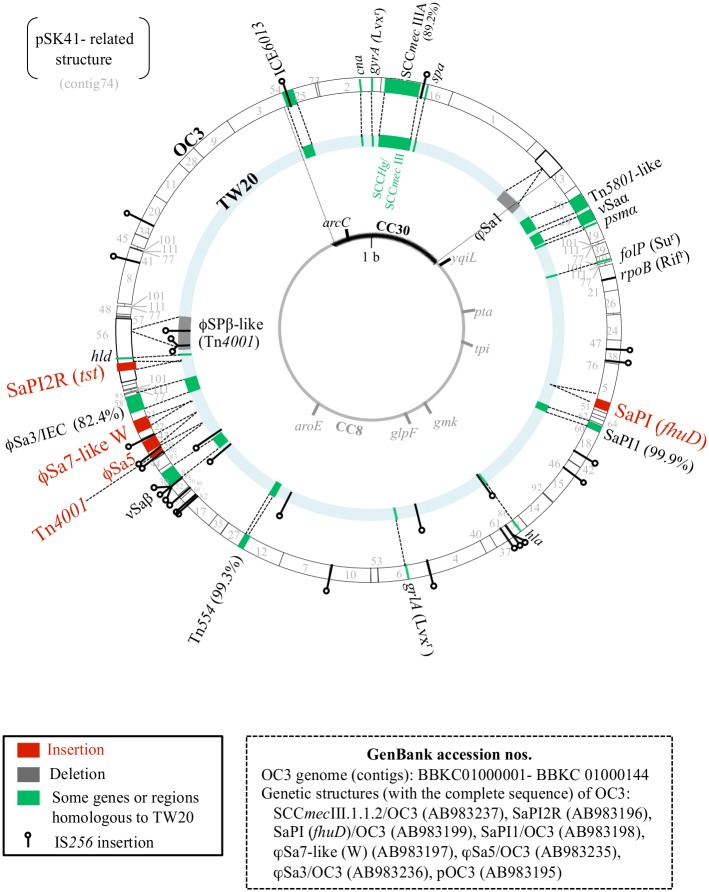 Fig 2