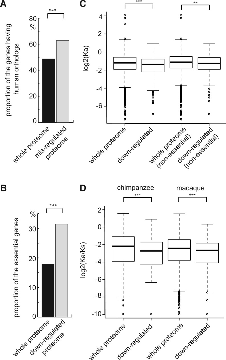 Fig. 2.—