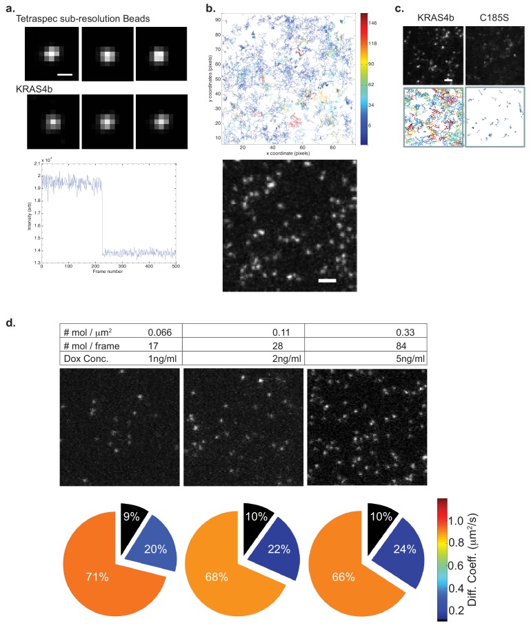 Figure 1—figure supplement 3.