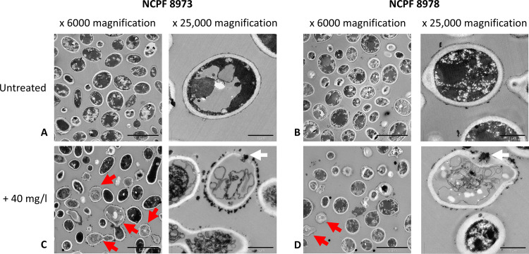 FIG 2