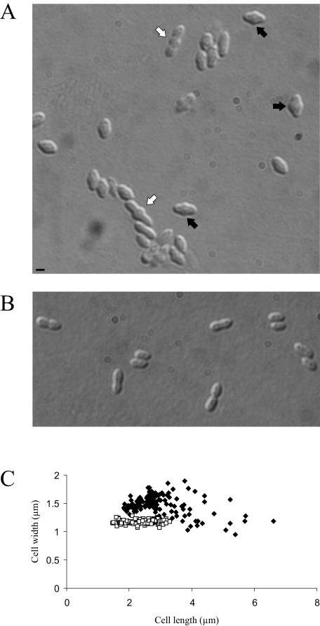 FIG.5.