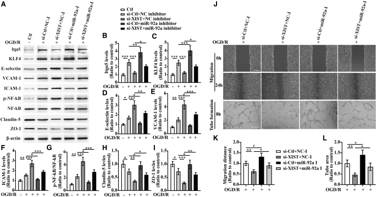 Figure 6