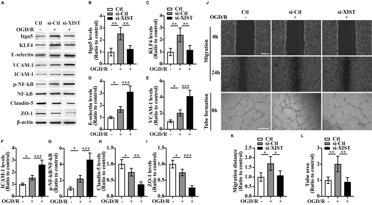 Figure 4