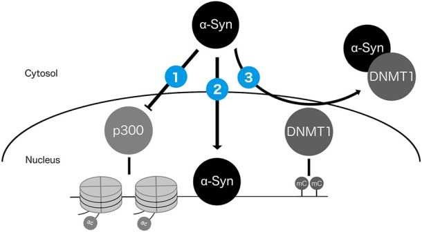 FIGURE 3