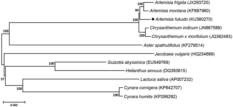 Figure 1.