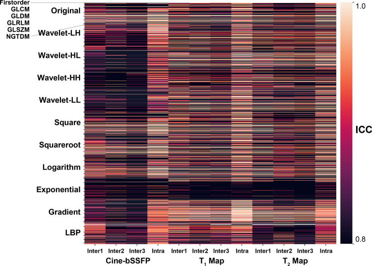 Inter- and intraobserver reproducibility results in patients summarized for all image filters and feature families. cine bSSFP = cine balanced steady-state free precession, GLCM = gray-level co-occurrence matrix, GLDM = gray-level dependence matrix, GLRLM = gray-level run-length matrix, GLSZM = gray-level size-zone matrix, ICC = intraclass correlation coefficient, LBP = local binary pattern, NGTDM = neighboring gray-tone-difference matrix, wavelet-HH = wavelet high-pass filter applied in horizontal and vertical directions, wavelet-HL = wavelet high- and low-pass filters applied in horizontal and vertical directions, wavelet-LH = wavelet low- and high-pass filters applied in horizontal and vertical directions, wavelet-LL = wavelet low-pass filter applied in horizontal and vertical directions.