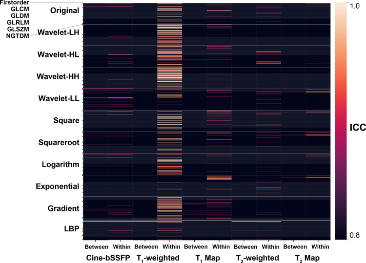 Test-retest reproducibility and repeatability results of healthy-participant study summarized for all image filters and feature families. cine bSSFP = cine balanced steady-state free precession, GLCM = gray-level co-occurrence matrix, GLDM = gray-level dependence matrix, GLRLM = gray-level run-length matrix, GLSZM = gray-level size-zone matrix, ICC = intraclass correlation coefficient, LBP = local binary pattern, NGTDM = neighboring gray-tone-difference matrix, wavelet-HH = wavelet high-pass filter applied in horizontal and vertical directions, wavelet-HL = wavelet high- and low-pass filters applied in horizontal and vertical directions, wavelet-LH = wavelet low- and high-pass filters applied in horizontal and vertical directions, wavelet-LL = wavelet low-pass filter applied in horizontal and vertical directions.