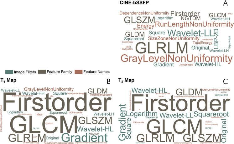 The word-cloud representation of reproducible features (ICC ≥ 0.8) for each image filter, feature family, and feature name across, A, cine bSSFP, B, T1 mapping, and, C, T2 mapping. The word clouds illustrate the more reproducible feature names with greater prominence. The top 30 most reproducible features are presented in the word clouds. cine bSSFP = cine balanced steady-state free precession, GLCM = gray-level co-occurrence matrix, GLDM = gray-level dependence matrix, GLRLM = gray-level run-length matrix, GLSZM = gray-level size-zone matrix, LBP = local binary pattern, NGTDM = neighboring gray-tone-difference matrix, 2D = two-dimensional, wavelet-HH = wavelet high-pass filter applied in horizontal and vertical directions, wavelet-HL = wavelet high- and low-pass filters applied in horizontal and vertical directions, wavelet-LH = wavelet low- and high-pass filters applied in horizontal and vertical directions, wavelet-LL = wavelet low-pass filter applied in horizontal and vertical directions.