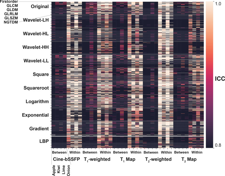 Test-retest reproducibility and repeatability results of phantom study summarized for all image filters and feature families. The heat map highlights reproducible features defined at the ICC greater than or equal to 0.8. cine bSSFP = cine balanced steady-state free precession, GLCM = gray-level co-occurrence matrix, GLDM = gray-level dependence matrix, GLRLM = gray-level run-length matrix, GLSZM = gray-level size-zone matrix, ICC = intraclass correlation coefficient, LBP = local binary pattern, NGTDM = neighboring gray-tone-difference matrix, wavelet-HH = wavelet high-pass filter applied in horizontal and vertical directions, wavelet-HL = wavelet high- and low-pass filters applied in horizontal and vertical directions, wavelet-LH = wavelet low- and high-pass filters applied in horizontal and vertical directions, wavelet-LL = wavelet low-pass filter applied in horizontal and vertical directions.