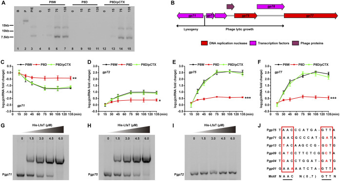 FIG 2