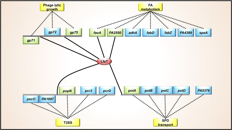 FIG 8