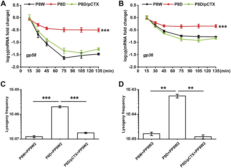 FIG 4