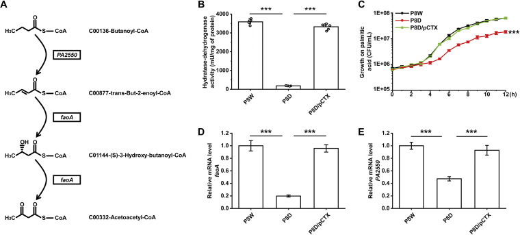 FIG 6