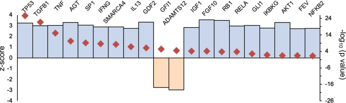 Fig. 7