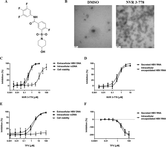 FIG 1