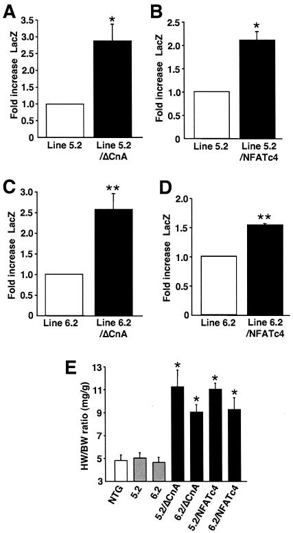 FIG. 8.